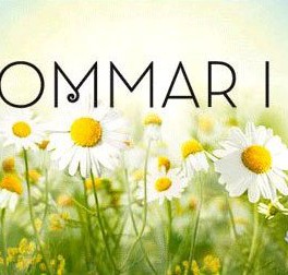 Olle sommarvärd i P1! Olle sommarvärd i P1!